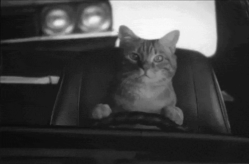 Cat drive